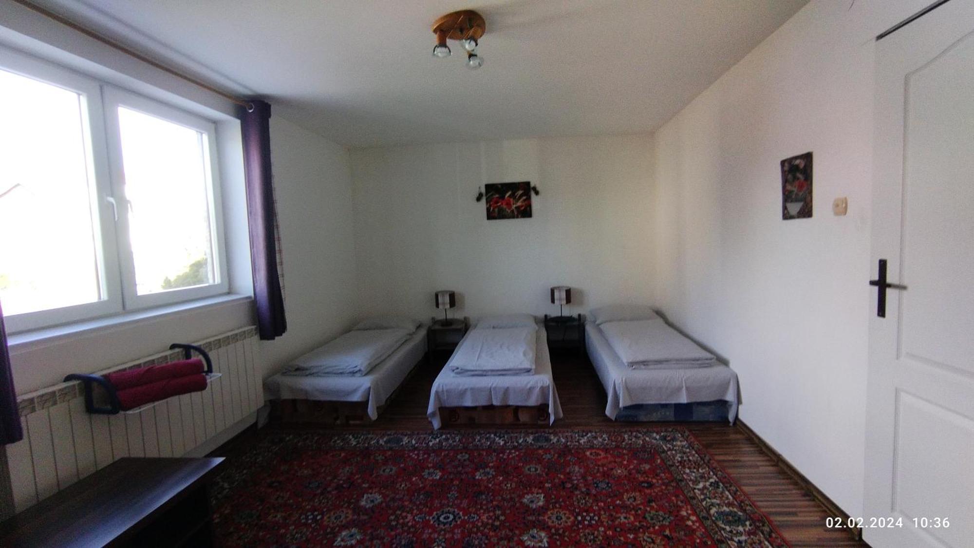 Lucky Cat Hotel Nová Lesná Eksteriør billede