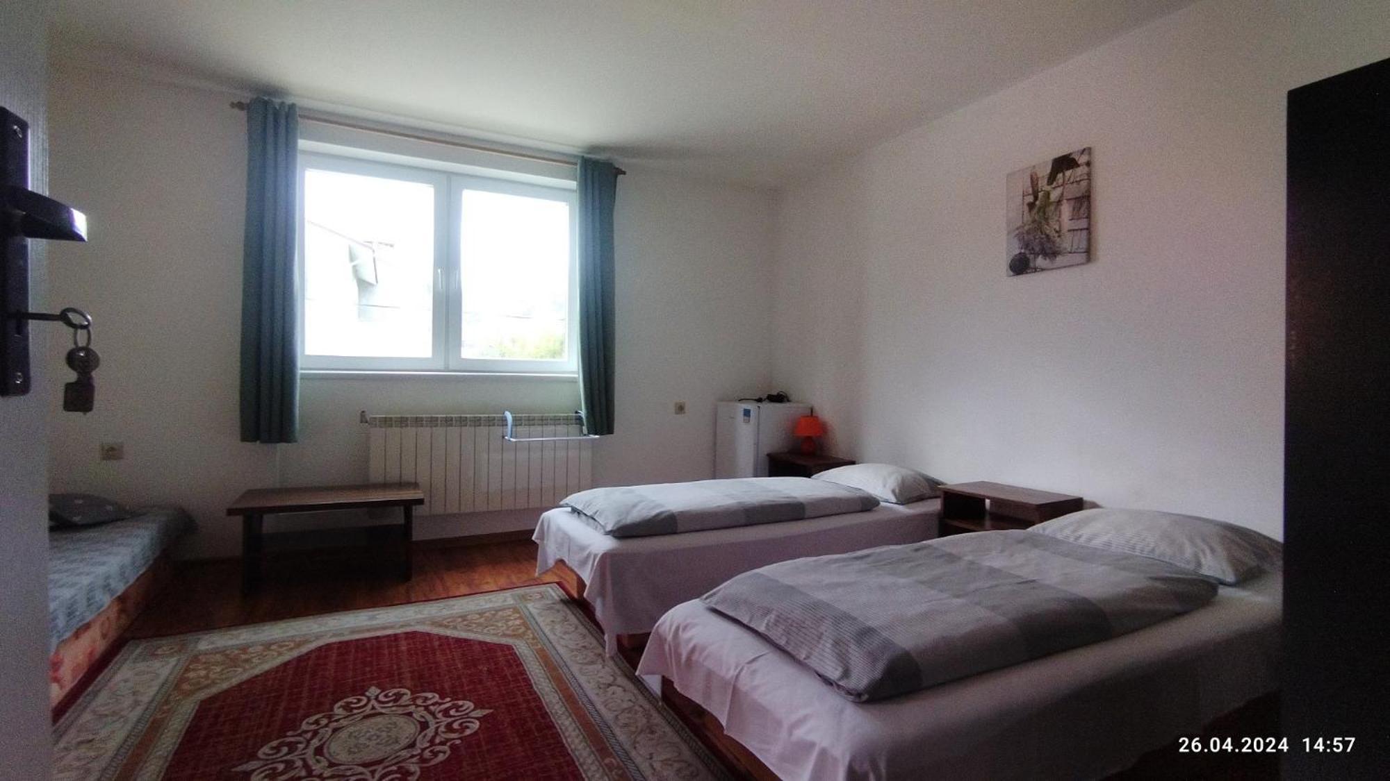 Lucky Cat Hotel Nová Lesná Eksteriør billede
